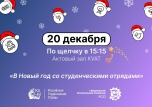 В НОВЫЙ ГОД СО СТУДЕНЧЕСКИМИ ОТРЯДАМИ