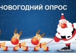 Новогодний опрос!