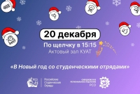 В НОВЫЙ ГОД СО СТУДЕНЧЕСКИМИ ОТРЯДАМИ
