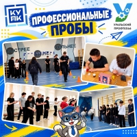Профессиональные пробы