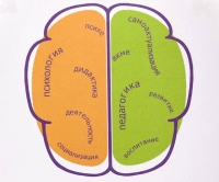 10 Областная олимпиада по педагогике и психологии