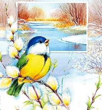 День птиц!!!