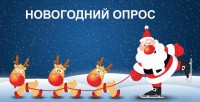 Новогодний опрос!